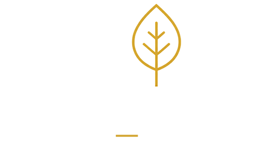 Apartment Schöneiche - Charmant & Modern